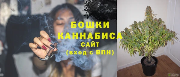 гидра Армянск
