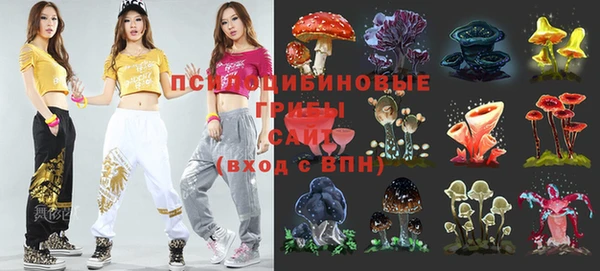 амф Балахна