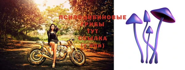 экстази Арсеньев