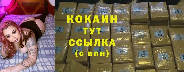 гидра Армянск