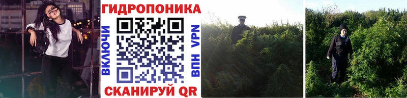 Канабис Bruce Banner  Гвардейск 